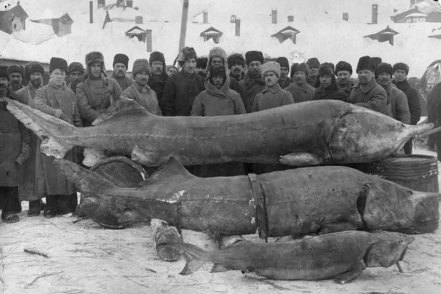 Интересные и редкие ретро-фотографии 12.12.22