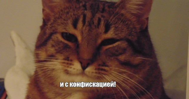 Экс-посол США предложил условия отмены санкций для российских бизнесменов