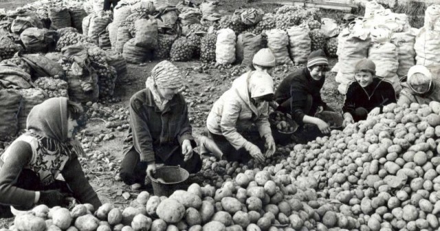 Фотографии из прошлого нашей страны - 15