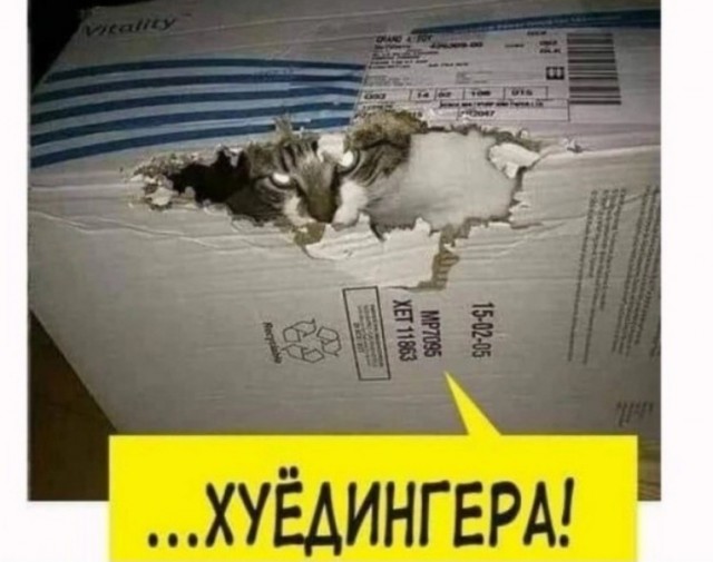 Десять удивительных явлений, которые остаются необъяснимыми даже для учёных!