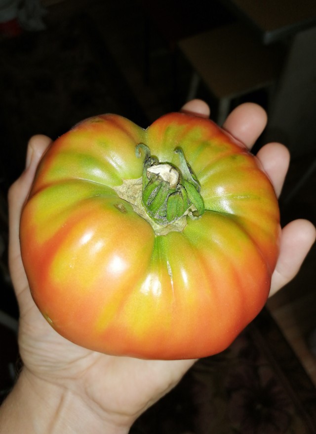А помнишь ли ты тот самый вкус помидора?
