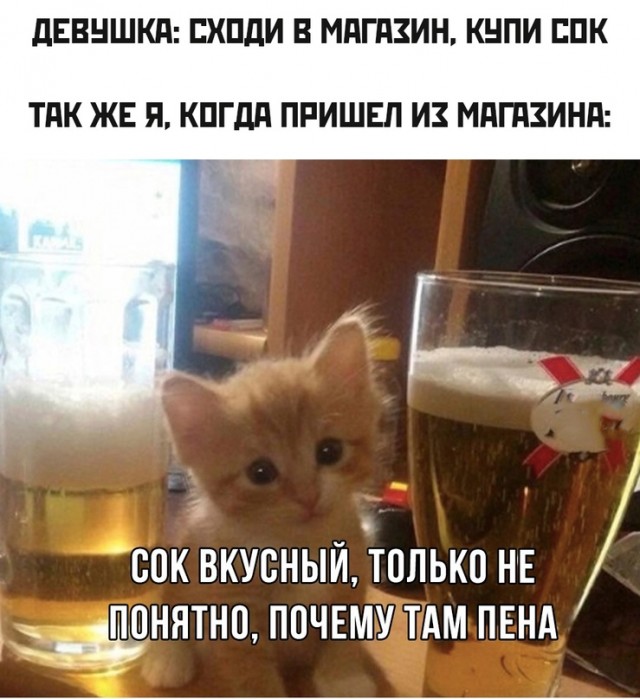 Весёлый полтишок 25.04.23