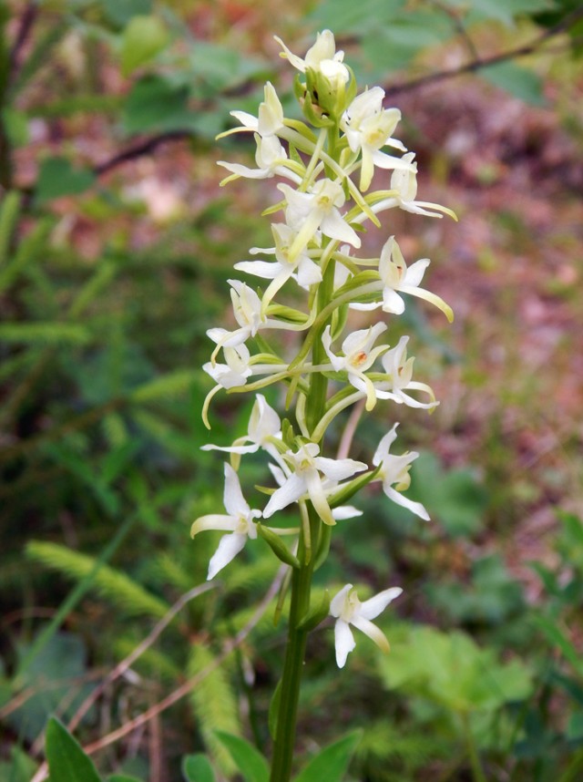 Природа Южного Урала