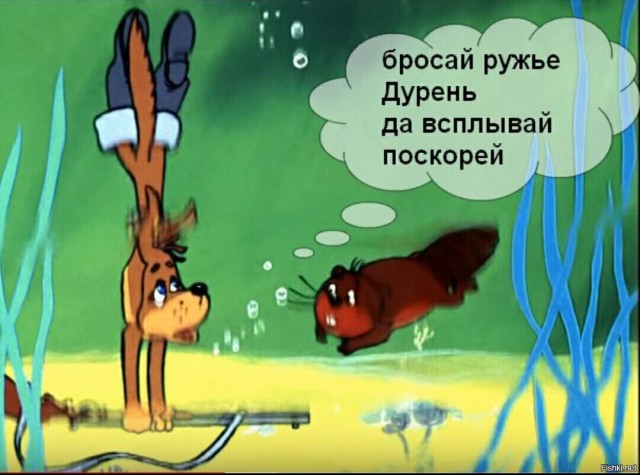 Один нож против двух акул