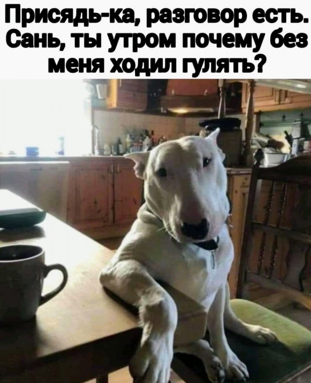 Тринадцатая подборка самых баянистых баянов! Ностальгируем...