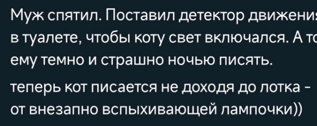 Всего понемногу. От 09.10.23