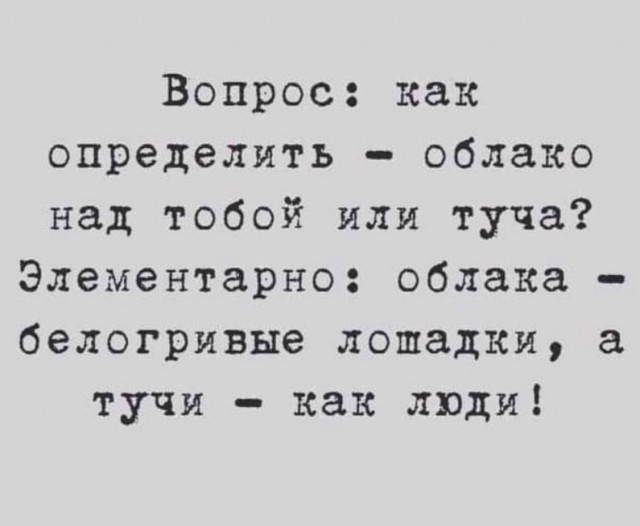 Суббота. Бояны. Не обращайте внимания