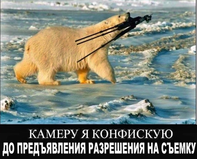 Так себе картинки 17.01.24