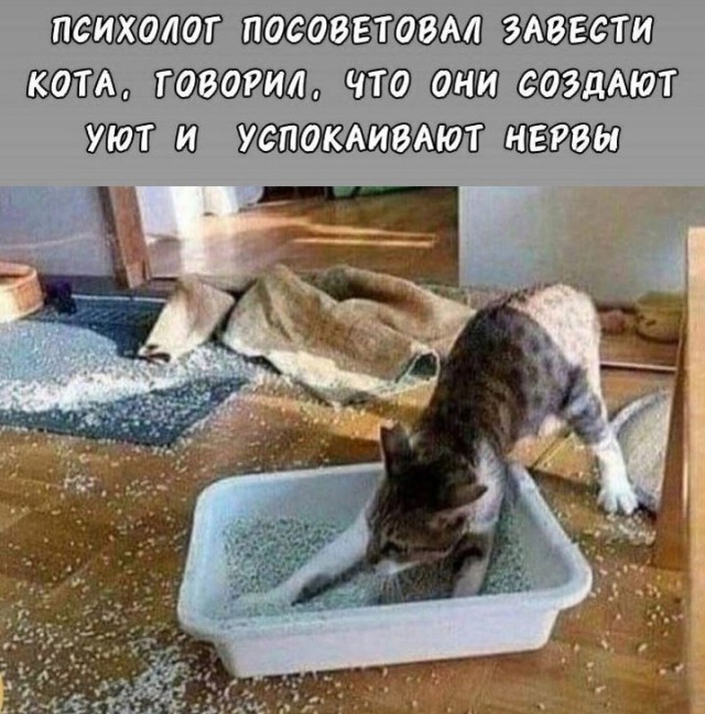 Так себе картинки 21.04.24
