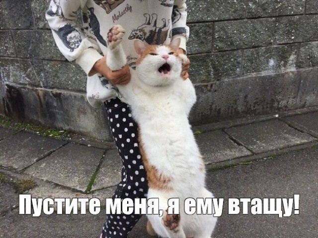 Держись подальше от моего ребенка