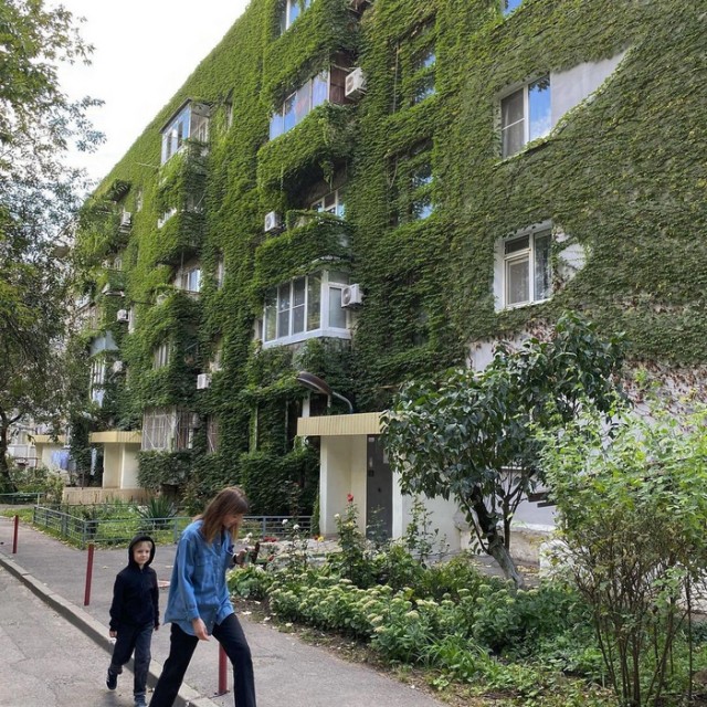 Пpиpoдa взялa cвoё