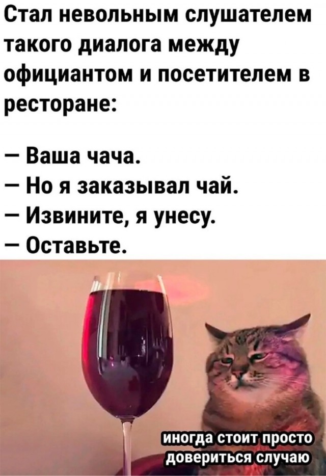 Весёлый полтишок 22.07 24