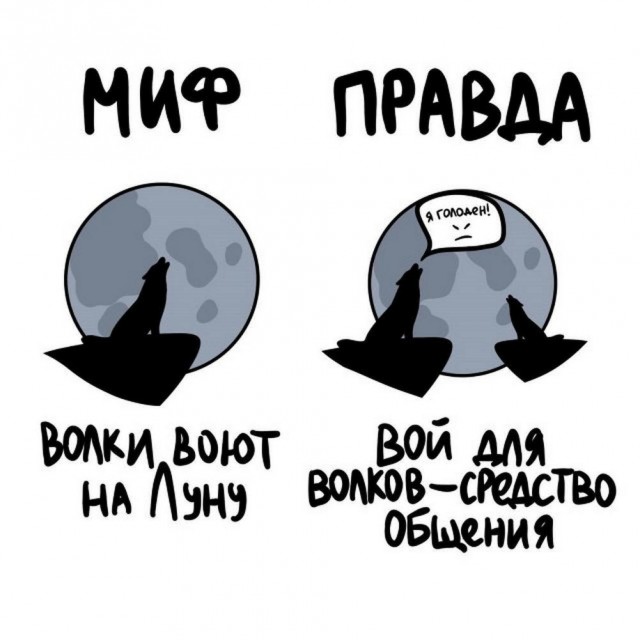 Прикольные и просто красивые картинки 09.08.2024