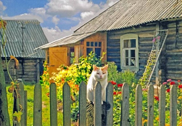 Скоро кончится лето. Это…