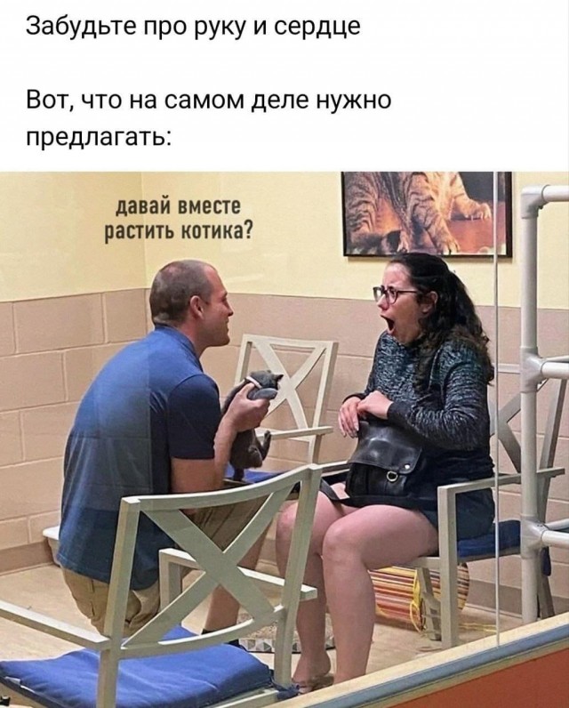 Завалялось тут случайно немного забавных картинок