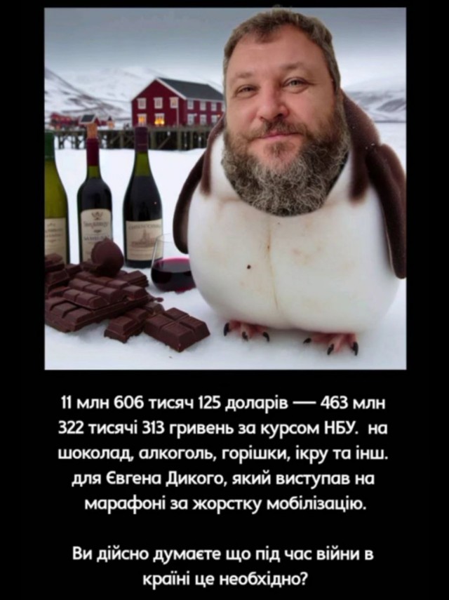 Императорский пингвин приплыл из Антарктиды в Австралию