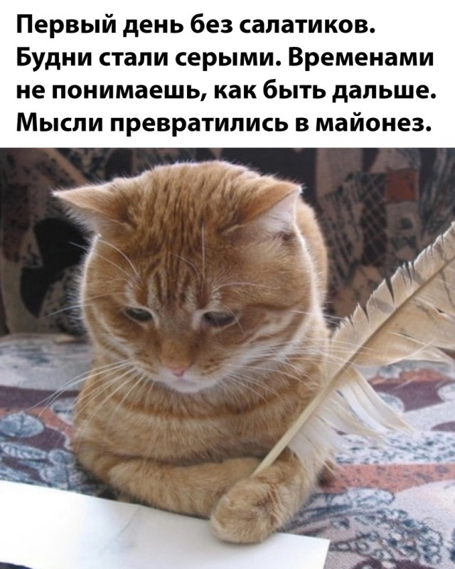 Так себе картинки 09.01.25