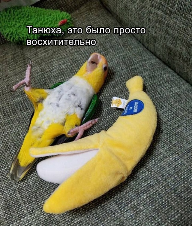 Так себе картинки 11.01.25