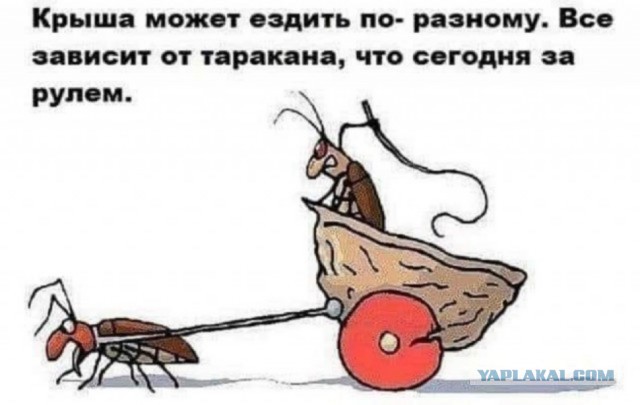 Сборник Баянов