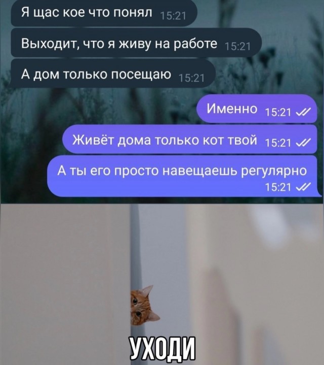 Завалялось тут случайно немного забавных картинок