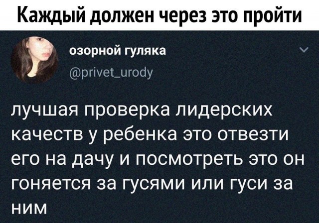 Так себе картинки 27.03.25