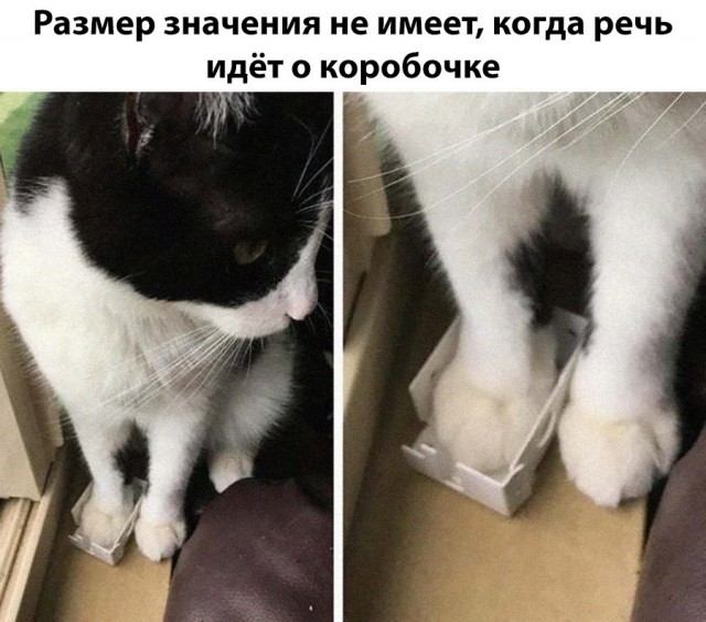 Завалялось тут случайно немного забавных картинок