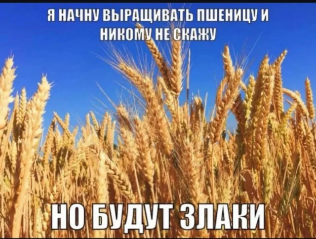 Юмор в картинках с буквами за день и отёки