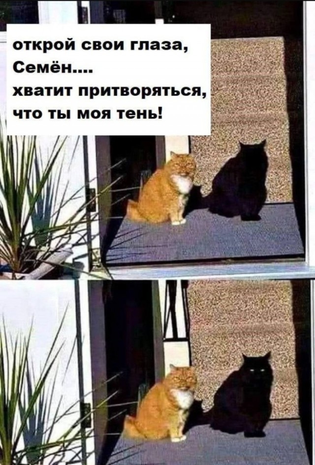 Завалялось тут случайно немного забавных картинок