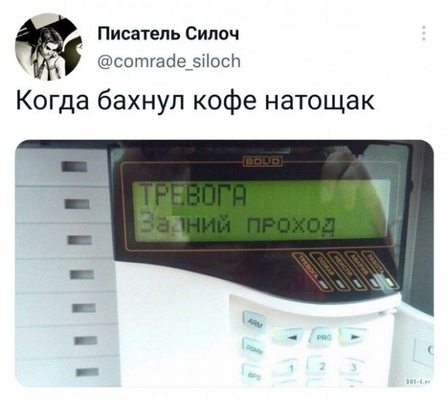 Веселые картинки в понедельник (01.09(
