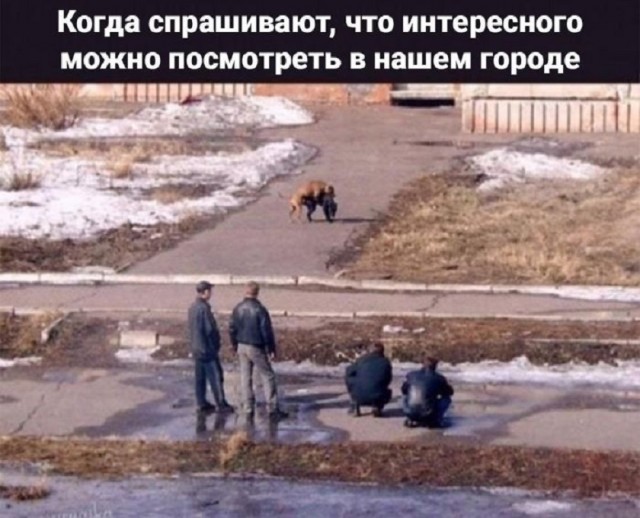 Так себе картинки 07.10.25