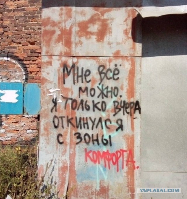 Пятничная сборка