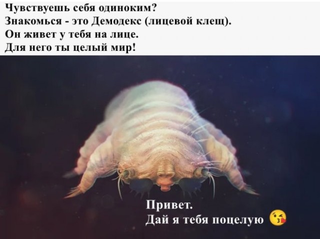 Картинки для деградации 77 (разной степени свежести)