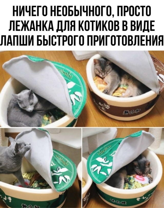 А понедельник то ненастоящий...