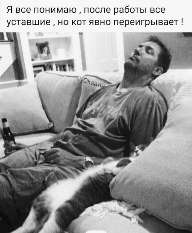 Прикольные и просто красивые картинки 09.12.2025