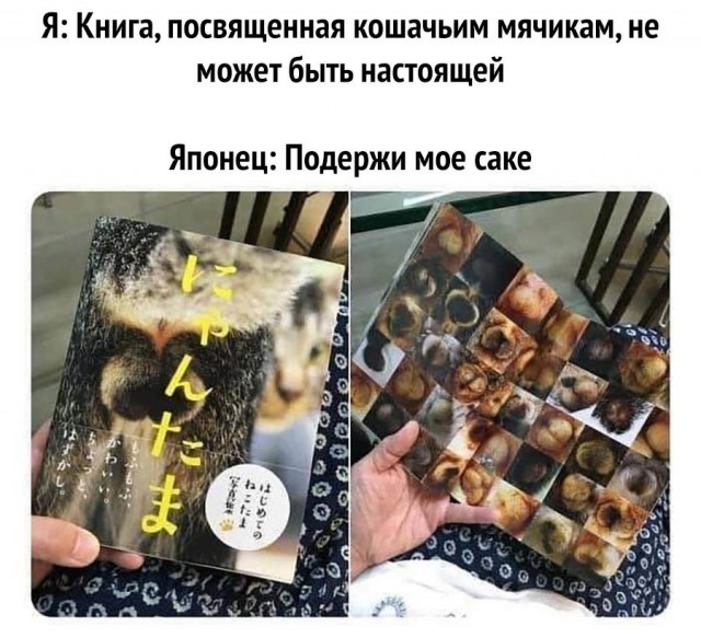 Картинки для деградации 117 (разной степени свежести)