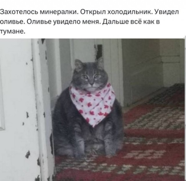 Картиночки, баянчики 04 января