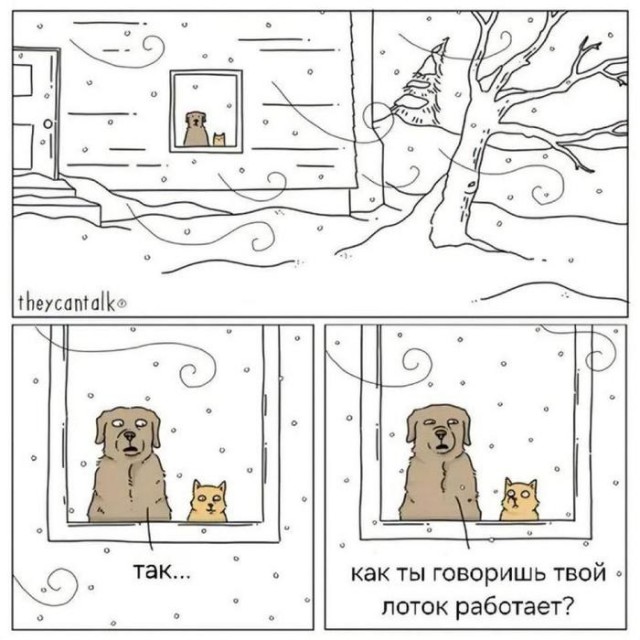 Картинки для деградации 120 (разной степени свежести)