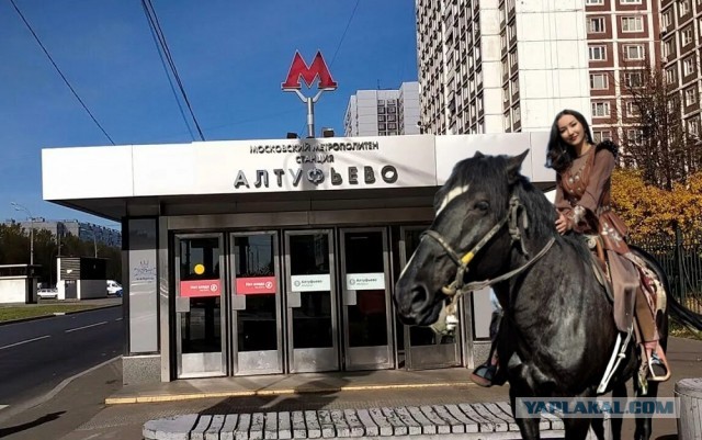 Очень реалистично