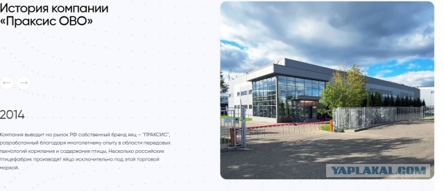 Говорят дорожает всё. Яйца из Турции...