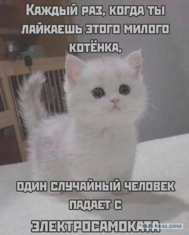 Каждый раз, когда ты лайкаешь меня