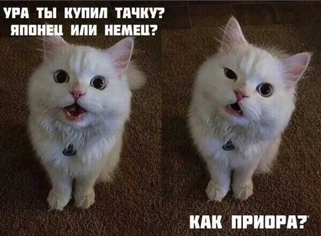Картинки с надписями про авто