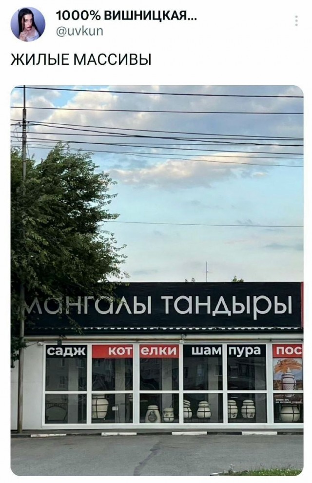 Картинки для деградации 258 ( разной степени свежести)