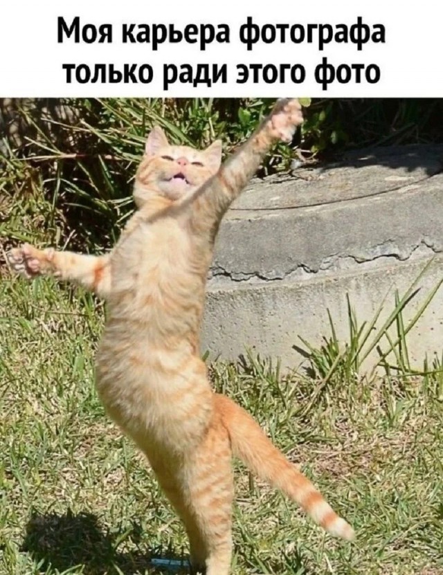 Так себе картинки 28.08.26