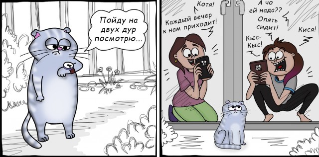 Уличным котам построили собственный особняк в Петербурге
