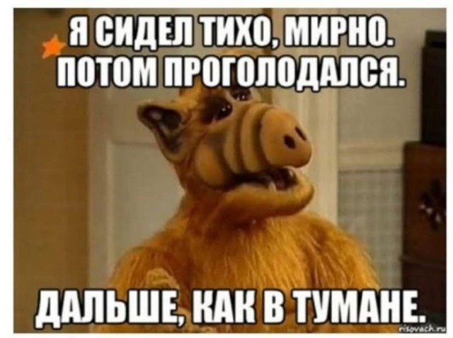 Картинки для деградации 281 (разной степени свежести)