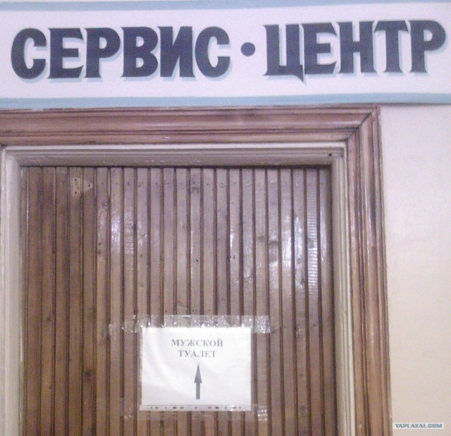 Что мы видим вокруг себя
