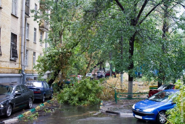 Последствия урагана в Лефортово