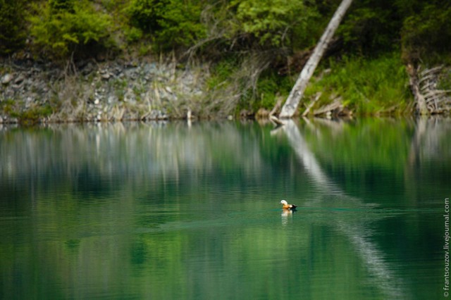 Озеро Каинды - Утонувший лес