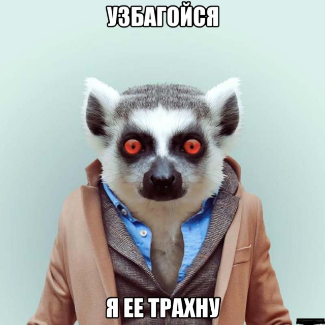 Вот это курнула