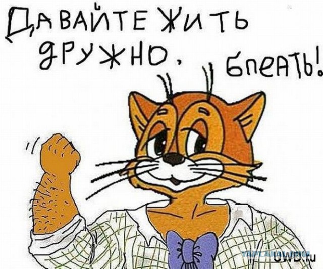Субботний ужин холостяка